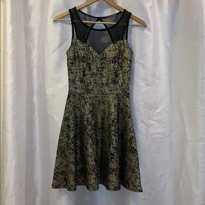 Soprano black & gold dress